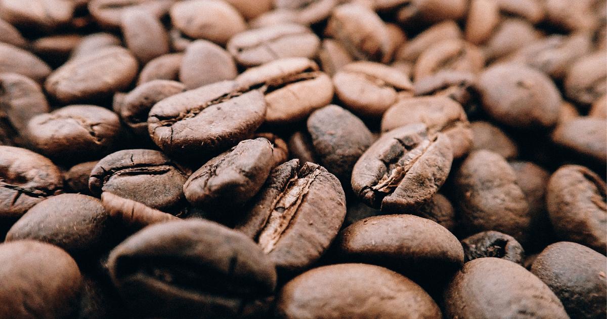 コーヒーの蒸らし時間で味はどう変わる？短い・長いによる違いを詳しく解説